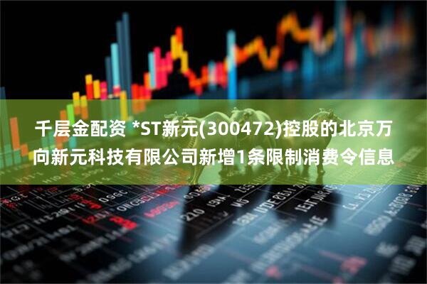 千层金配资 *ST新元(300472)控股的北京万向新元科技有限公司新增1条限制消费令信息