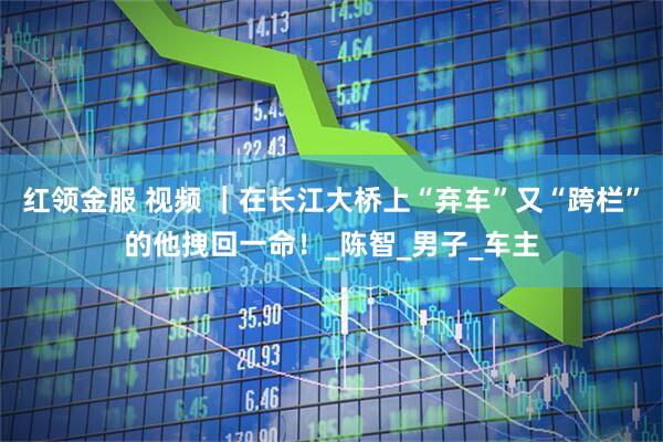 红领金服 视频 ｜在长江大桥上“弃车”又“跨栏”的他拽回一命！_陈智_男子_车主