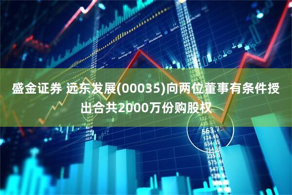 盛金证券 远东发展(00035)向两位董事有条件授出合共2000万份购股权