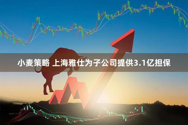 小麦策略 上海雅仕为子公司提供3.1亿担保
