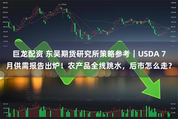 巨龙配资 东吴期货研究所策略参考｜USDA 7月供需报告出炉！农产品全线跳水，后市怎么走？